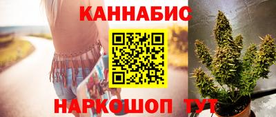 крисы Гай
