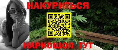 крисы Гай