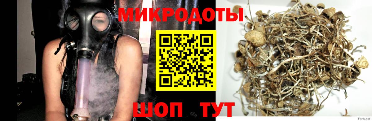 Мелеуз  Псилоцибиновые грибы MAGIC MUSHROOMS  Вход с VPN 